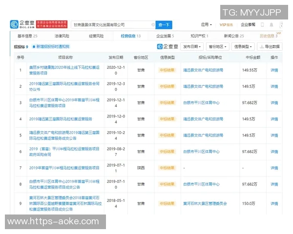 足球明星9号的精彩瞬间与背后的故事揭秘