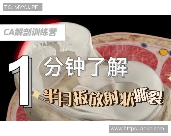 足球运动员半月板撕裂的原因及康复方法解析